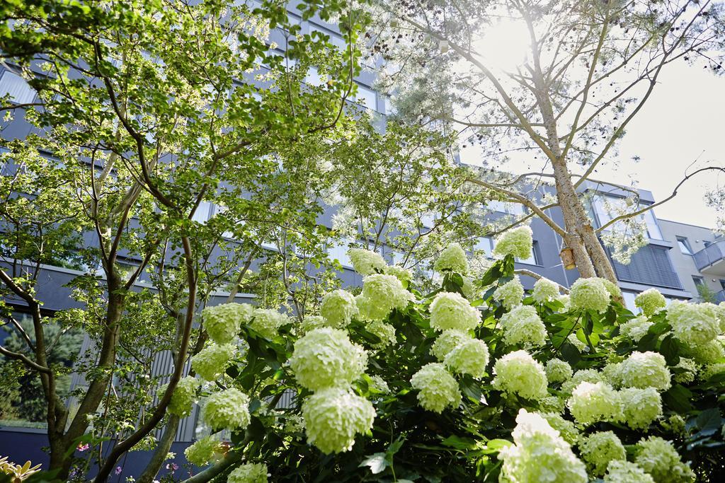 Savoy Hotel Cologne Luaran gambar